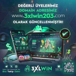 3xlwin203