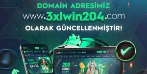 3xlwin204